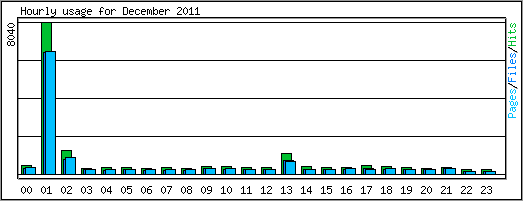 Hourly usage