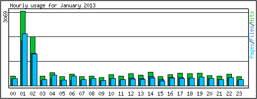 Hourly usage