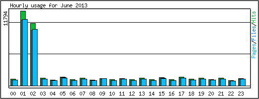 Hourly usage