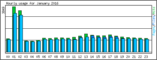 Hourly usage