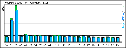 Hourly usage