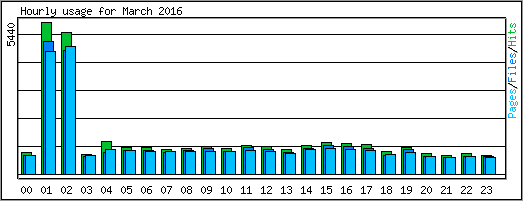 Hourly usage