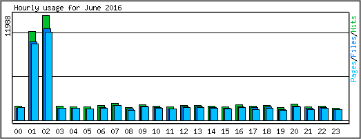 Hourly usage