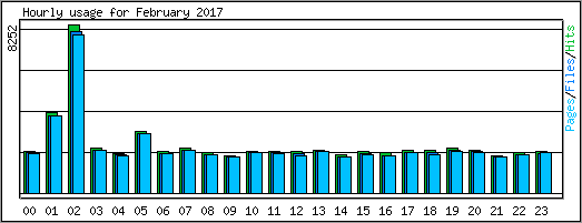 Hourly usage