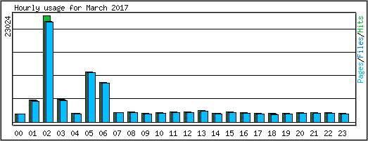 Hourly usage