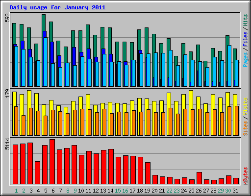 Daily usage for January 2011