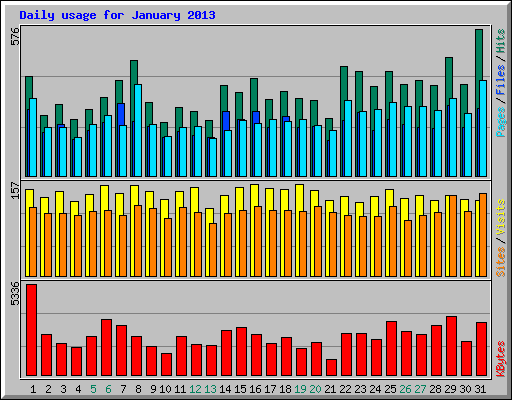 Daily usage for January 2013