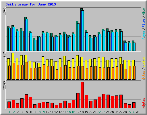 Daily usage for June 2013