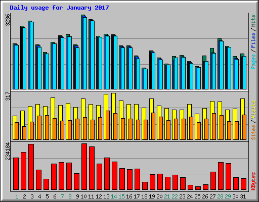 Daily usage for January 2017