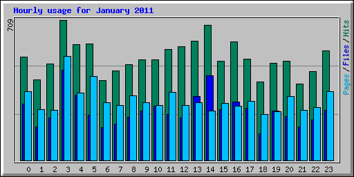 Hourly usage for January 2011