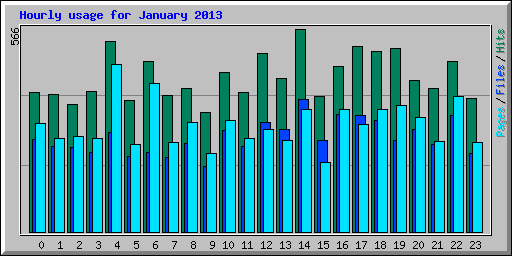 Hourly usage for January 2013