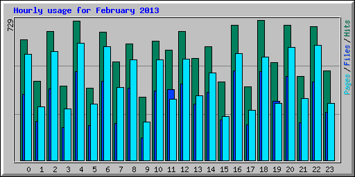 Hourly usage for February 2013