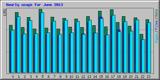 Hourly usage for June 2013