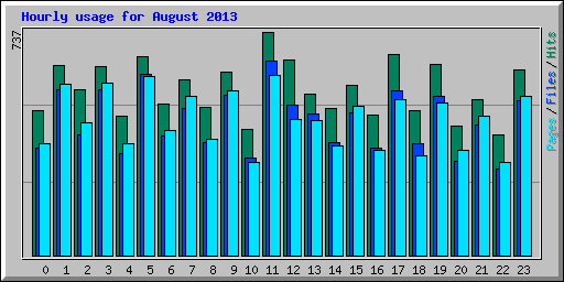 Hourly usage for August 2013