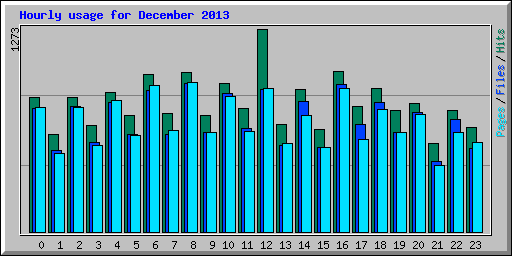 Hourly usage for December 2013
