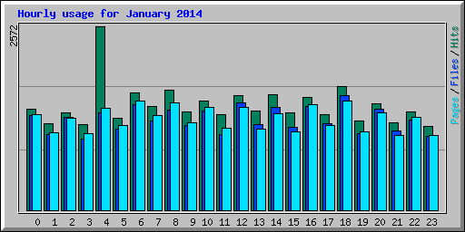Hourly usage for January 2014