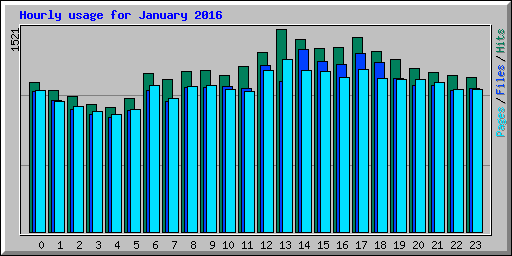Hourly usage for January 2016