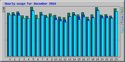 Hourly usage for December 2016