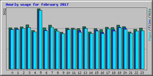 Hourly usage for February 2017