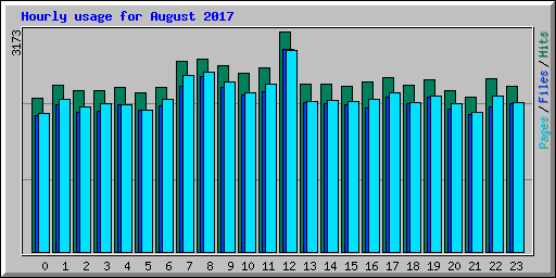 Hourly usage for August 2017